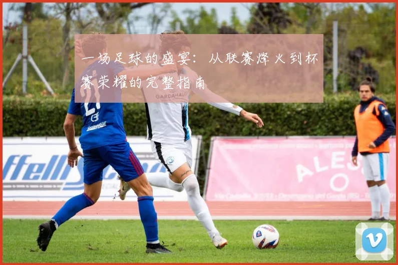 一场足球的盛宴:从联赛烽火到杯赛荣耀的完整指南